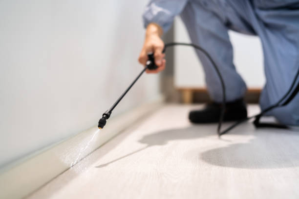 Licensed Exterminator service in Swartz Creek, MI - Show Me Pest Control