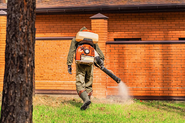 Bed Bug Clearance Verification and Documentation in Swartz Creek